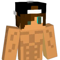 coolpaulo43 Minecraft avatar bust