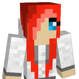 coolperson112233 Minecraft avatar bust