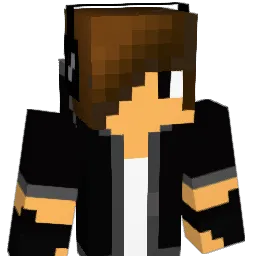 coolperson2929 Minecraft avatar bust