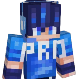 coolplayer351's Minecraft skin