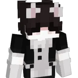 coolroom100809 Minecraft avatar bust