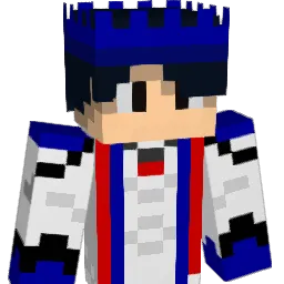 coolshahe1 Minecraft avatar bust