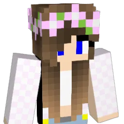 coolsims3 Minecraft avatar bust