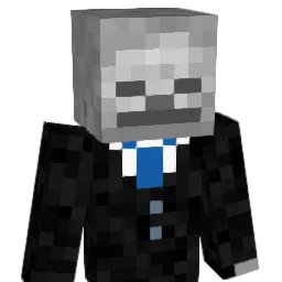 coolskelet0n Minecraft avatar bust
