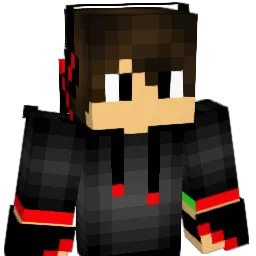 coopsindahouse Minecraft avatar bust