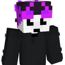 coponacm156 Minecraft avatar bust