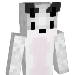 coracleboat Minecraft avatar bust