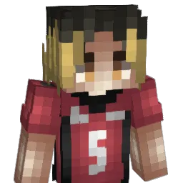 cory199407 Minecraft avatar bust