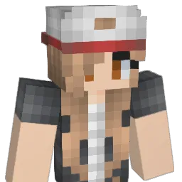 costner's Minecraft skin