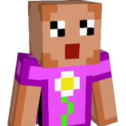 costra_ Minecraft avatar bust