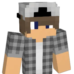 country_boy08 Minecraft avatar bust