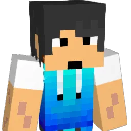 countrybook55 Minecraft avatar bust