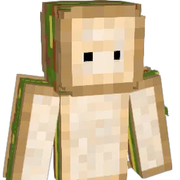 coyooodle Minecraft avatar bust