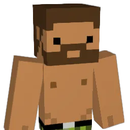 craankk Minecraft avatar bust