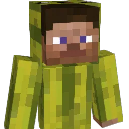 craapie Minecraft avatar bust