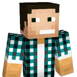 craft3333 Minecraft avatar bust
