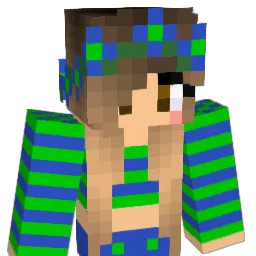 craftingzebra5 Minecraft avatar bust