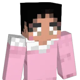 cranberryjuiceo Minecraft avatar bust