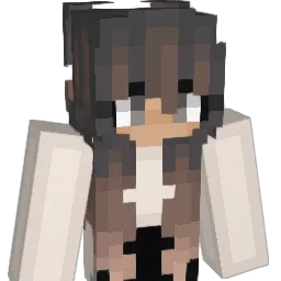 crpttic Minecraft avatar bust