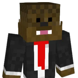 crr8mgr8 Minecraft avatar bust