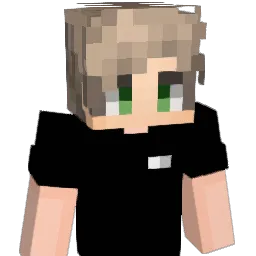 crwe Minecraft avatar bust