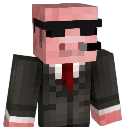 csmit22 Minecraft avatar bust