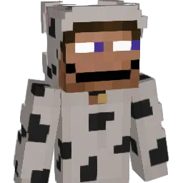 cspe's Minecraft skin