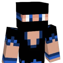 csullivan2323 Minecraft avatar bust