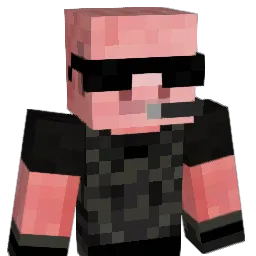 csulokman Minecraft avatar bust