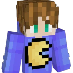 cswhtt_ Minecraft avatar bust