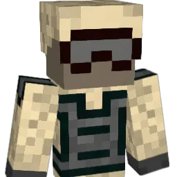 curly31 Minecraft avatar bust