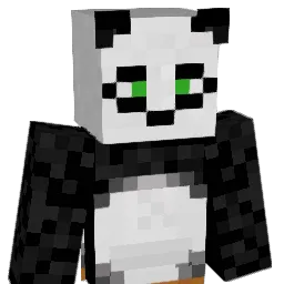 currycurry1234 Minecraft avatar bust