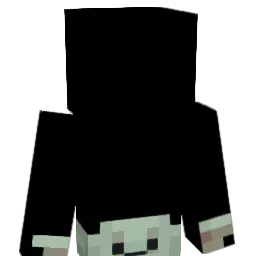cuteanimalslive Minecraft avatar bust