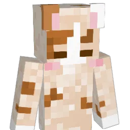cxxxxxs Minecraft avatar bust