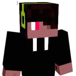 cyberprogamer