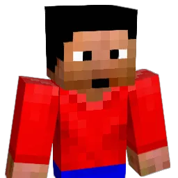czesio121212 Minecraft avatar bust