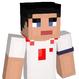 d0minikaa's Minecraft skin