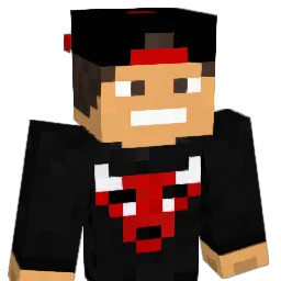 d10g0_Br Minecraft avatar bust
