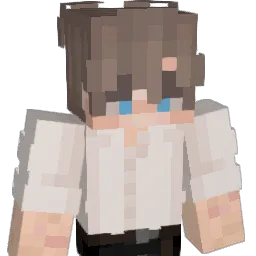BoL4w's skin