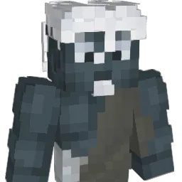 d1solxti0n Minecraft avatar bust