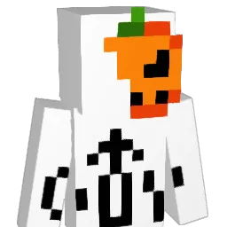 TsDudeguy_'s skin