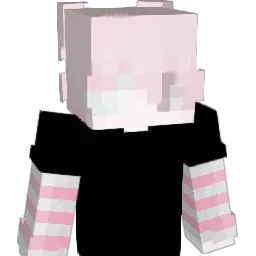 SameDay's skin