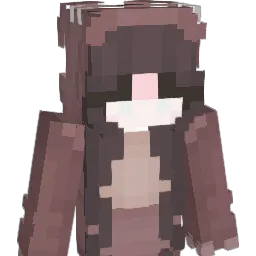 LEI1YLAA's skin
