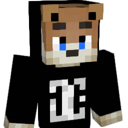 d9x8 Minecraft avatar bust