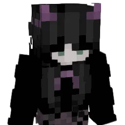 dN_gaming Minecraft avatar bust