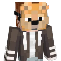 d_rini03 Minecraft avatar bust