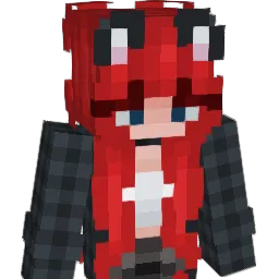 dakoman69 Minecraft avatar bust