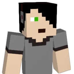 dallaskid1 Minecraft avatar bust