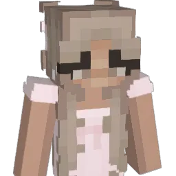dan1kar's Minecraft skin