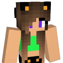 dana2707 Minecraft avatar bust